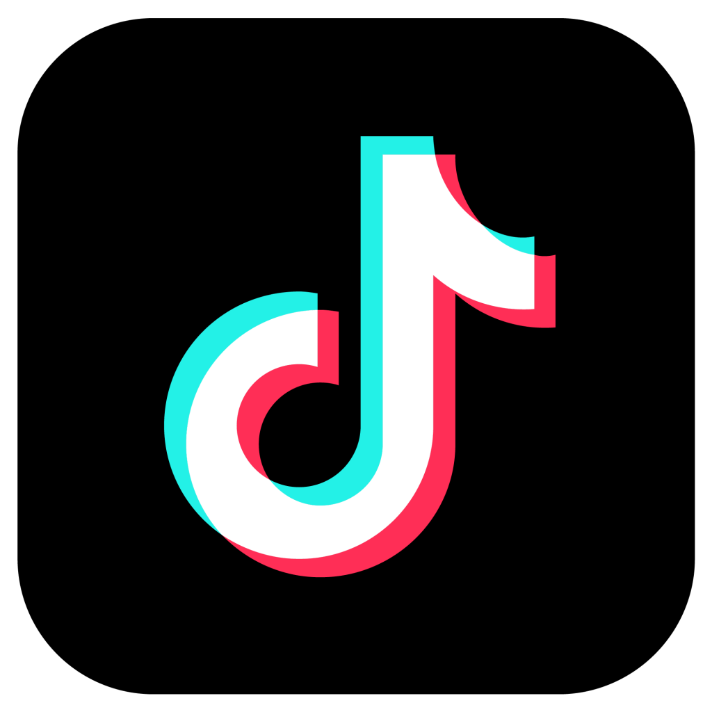 TikTok Icon